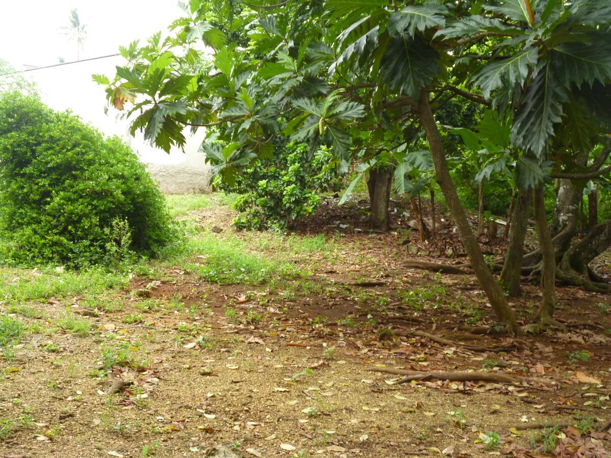 Posada Nativa Miss Casira San Andrés Esterno foto